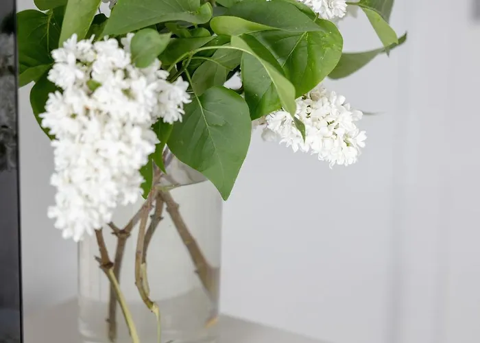 Sun 7 - Easy - Rent - Z Basenem アパート ポビエロボ